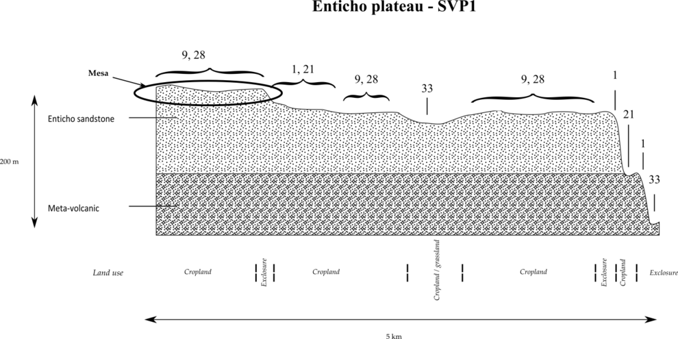 Typical catena on the Enticho sandstone plateau SVP1 Enticho sandstone plateau catena.tif