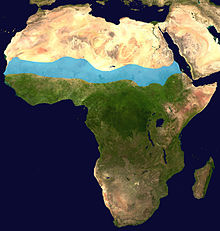 Sahel orthographic map.jpg