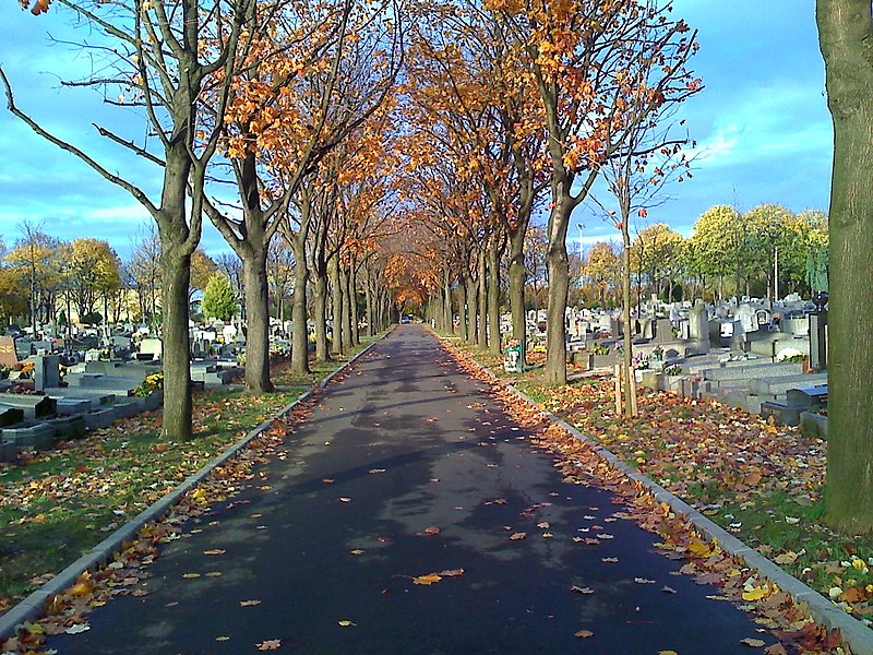 File:Saint-Ouen-Avenue-Transversale.jpg