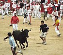 サン・フェルミン祭初日