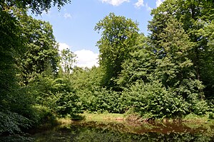 Schleswig-Holstein, Itzehoe, Landschaftsschutzgebiet Gehege Überstör und Katzenkuhle NIK 6623.JPG