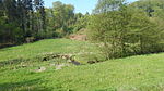 Naturschutzgebiet Schlingenbachtal