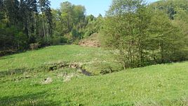 Schlingenbach im Naturschutzgebiet Schlingenbachtal