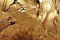 Schluffstrecke im oberen Teil der Wolfsschluchthöhle mit Mondmilch-Überzug
