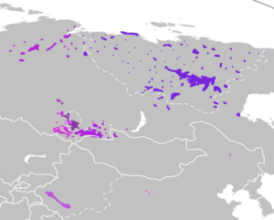 Siberia Bahasa Turki peta distribusi.png