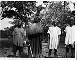 Falui, yksikätisen soturin henki. Panguma, Sierra Leone. (Hofstra, 1936)