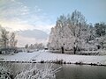 Snow at pond 1.jpg, located at (10, 3)