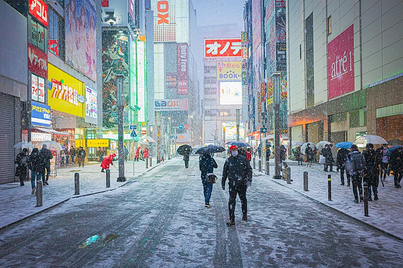 File:Snow in Akihabara 2022-01-06.jpg