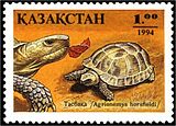 Centraal-Aziatische schildpad op postzegel van Kazachstan