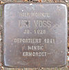 Stolperstein Isestraße 96 (Uri Voss) in Hamburg-Harvestehude.JPG