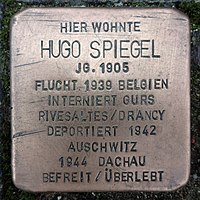 people_wikipedia_image_from Hugo Spiegel