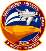 Sts-51-g-patch.png