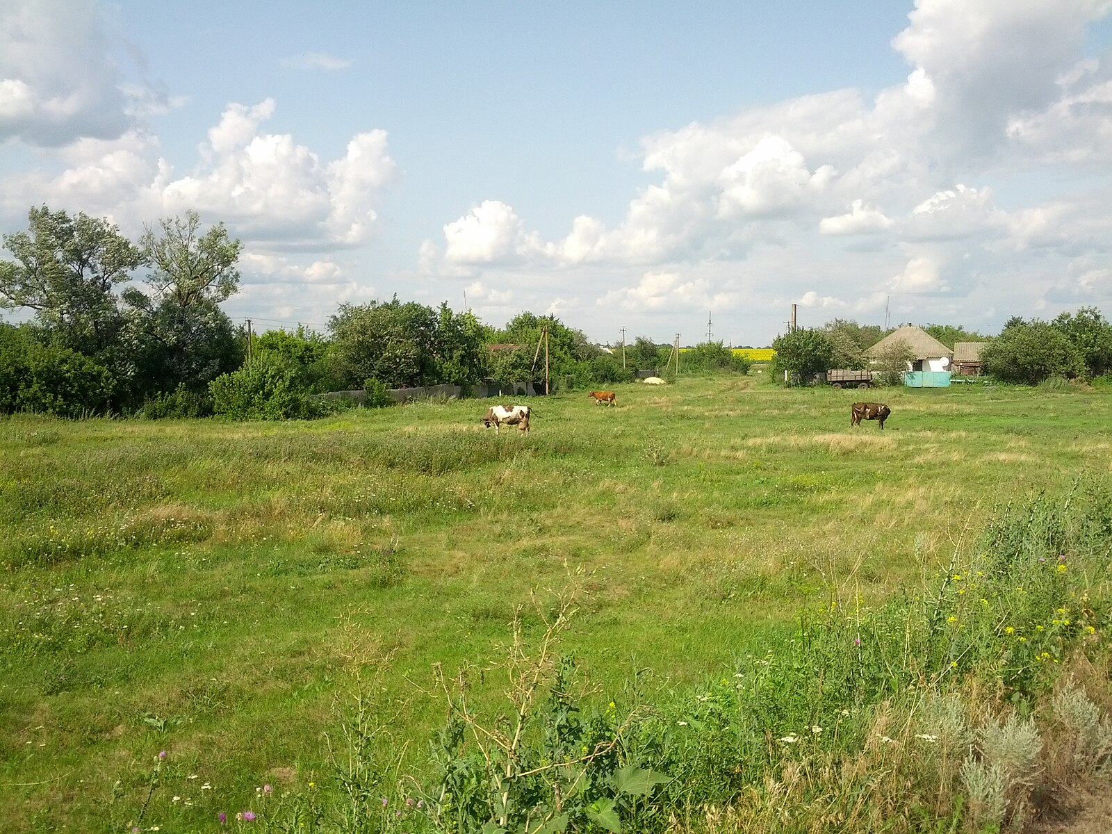 Деревни студенка. Село Студенок Украина. Деревня Студенок. Студенок Харьковская область. Чкаловское Харьковская область.