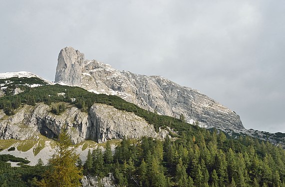 Herzi Pinki File:Sturzhahn.jpg