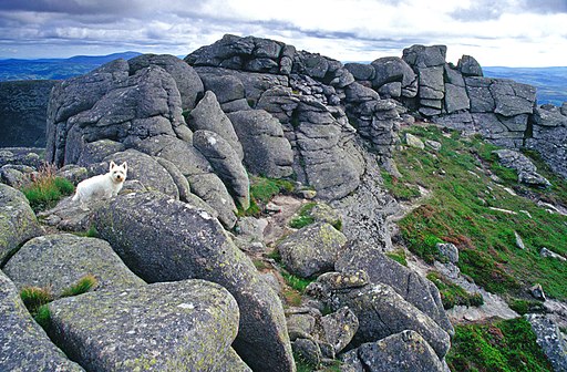 Summit of Meikle Pap - geograph.org.uk - 517765