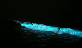 File:Surfing on bioluminescent wave.webm