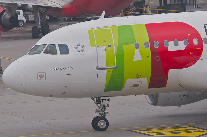File:TAP Air Portugal Airbus A319-111; CS-TTP@ZRH;26.02.2013 693bb (8510453662).jpg