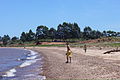 THE BEACH - panoramio.jpg