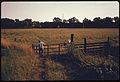 THE GATE TO A COW PASTURE AT A FARM SURROUNDED BY INDUSTRY NEAR SOMERVILLE, NEW JERSEY, IN THE NEW YORK METROPOLITAN... - NARA - 555821.jpg