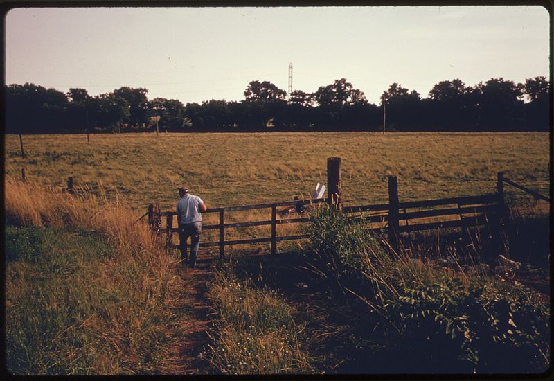 File:THE GATE TO A COW PASTURE AT A FARM SURROUNDED BY INDUSTRY NEAR SOMERVILLE, NEW JERSEY, IN THE NEW YORK METROPOLITAN... - NARA - 555821.jpg