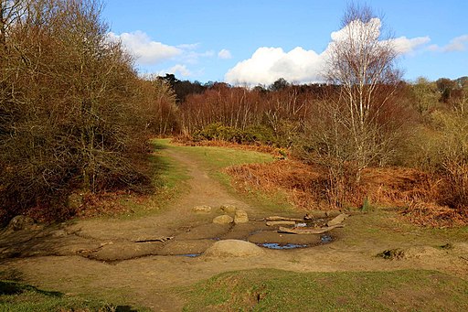 The Sandpit in Shotover Country Park (geograph 5102831)