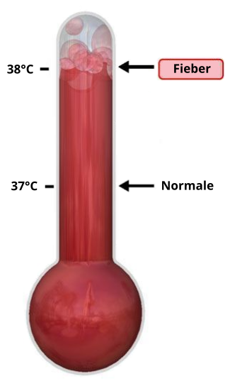 File:Thermometer Fieber.svg