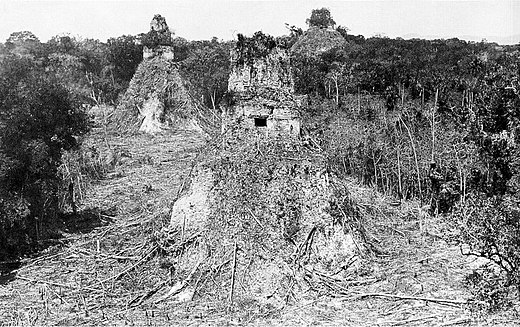 Een van Maudsleys foto's van Tikal, in 1882 genomen nadat de begroeiing was verwijderd.