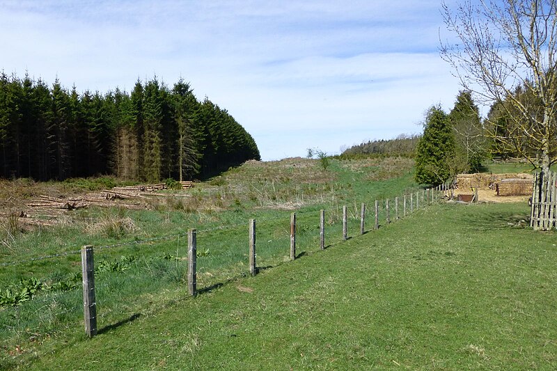 File:Timber operations - geograph.org.uk - 4450793.jpg