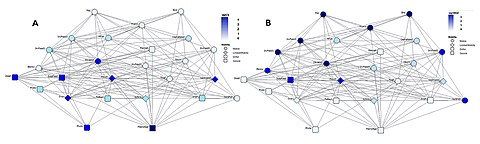 Topological positions versus mobility: (A) bottom-up groups (sessile and drifters), (B) groups at the top of the food web. Phyto, phytoplankton; MacroAlga, macroalgae; Proto, pelagic protozoa; Crus, Crustacea; PelBact, pelagic bacteria; Echino, Echinoderms; Amph, Amphipods; HerbFish, herbivorous fish; Zoopl, zooplankton; SuspFeed, suspension feeders; Polych, polychaetes; Mugil, Mugilidae; Gastropod, gastropods; Blenny, omnivorous blennies; Decapod, decapods; Dpunt, Diplodus puntazzo; Macropl, macroplankton; PlFish, planktivorous fish; Cephalopod, cephalopods; Mcarni, macrocarnivorous fish; Pisc, piscivorous fish; Bird, seabirds; InvFeed1 through InvFeed4, benthic invertebrate feeders. Topological position versus mobility in food webs.jpg