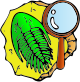 Trilobite clipart-vector.svg