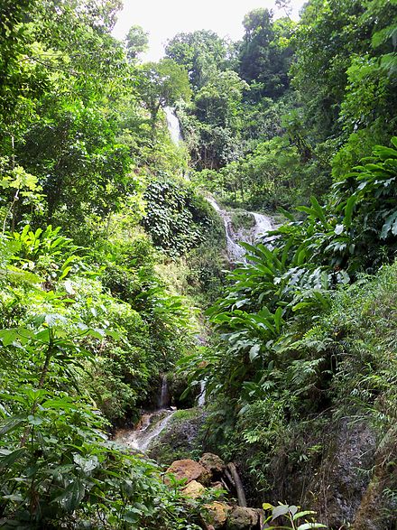 Tufton Hall Falls, Grenada TuftonFalls Grenada.JPG