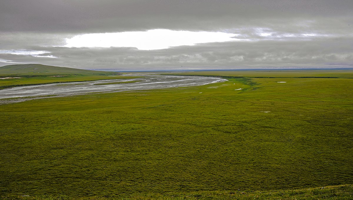 tundra river