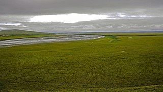Arctic coastal tundra Tundra ecoregion of Canada and the United States