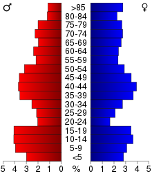 2000 Census Age Pyramid for Greene County