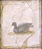 Uccello, affresco Romano di Villa d'Arianna, Stabiae (Museo Archeologico Nazionale di Napoli) - 01.jpg