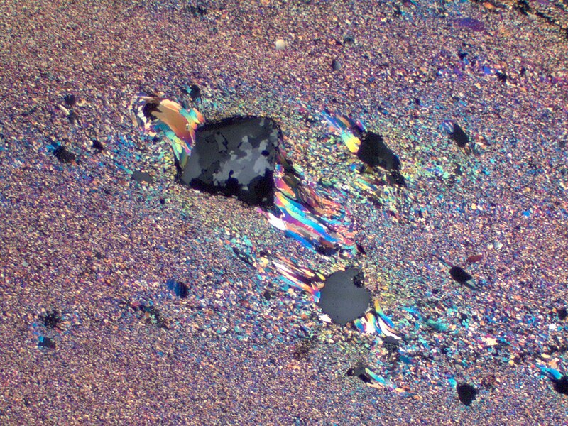 File:Ultra thin section carbonate sigma clast 1.JPG