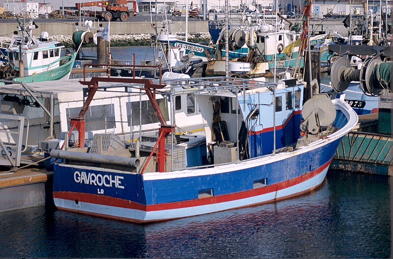 File:Un bateau de pêche polyvalent.jpg