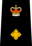 Polizia di Vancouver - Superintendent.png