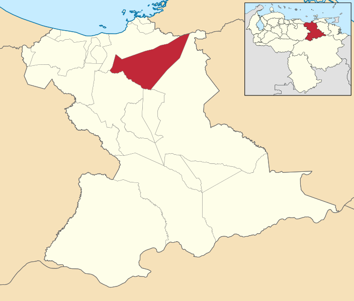 File:Venezuela - Anzoátegui - Libertad.svg