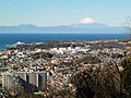中腹から見た相模湾と箱根山と富士山