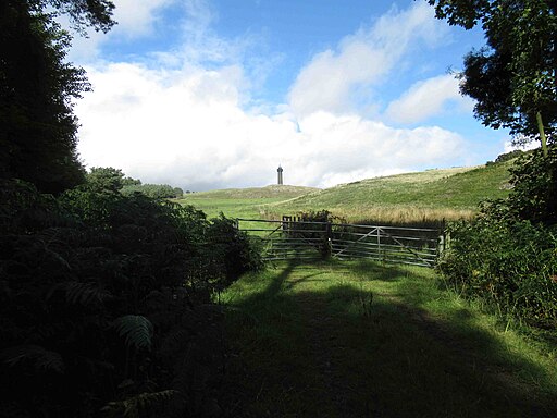 View towards Waterloo Monument - geograph.org.uk - 5910453