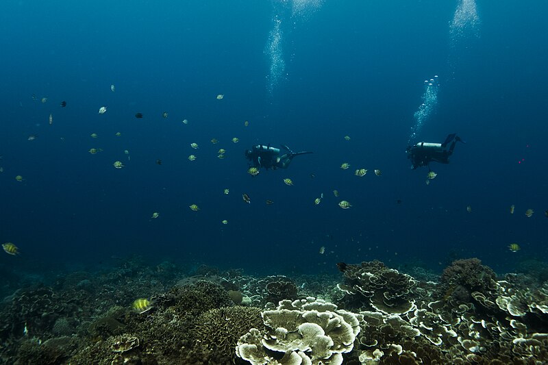 File:Visitors in a Marine Sanctuary.jpg