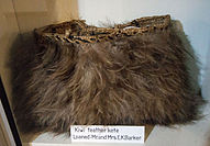 Feather Basket from the Warkworth Museum Warkworth Museum - Kiwi feather basket.jpg