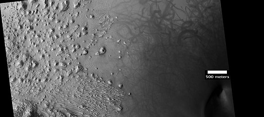 Capas en el cráter marciano Danielson (Imagen HiRISE). Marcas de torbellino de polvo son también visibles en la parte superior. Ubicadas en el cuadrángulo Arabia.