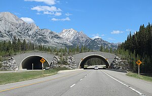 Banff National Park