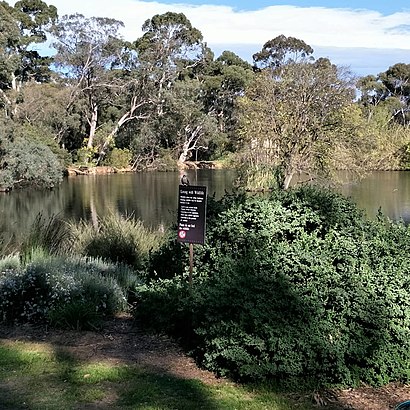 How to get to Wittunga Botanic Gardens with public transport- About the place