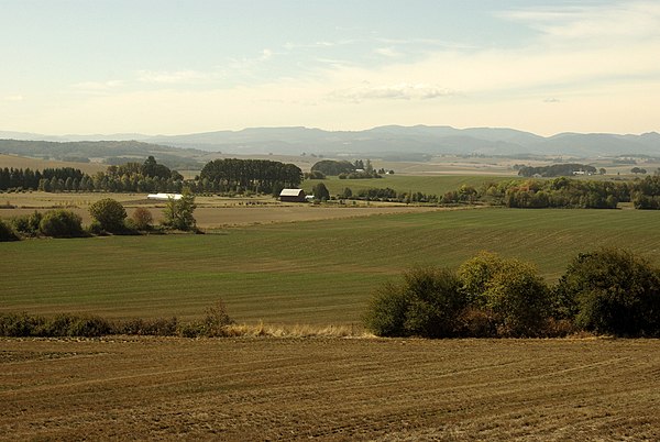 Farmscape in northern Polk County