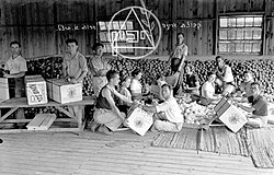 "קבוצת אריזה" של יכין בכפר סבא, 1939
