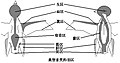 於 2011年2月28日 (一) 12:39 版本的縮圖