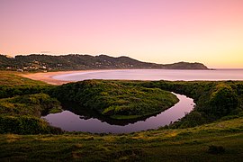 Área de Proteção Ambiental da Baleia Franca Claudio Seelig (13)